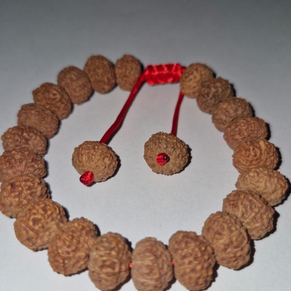 10 Mukhi Indonesian Rudraksha Bracelet (27 Beads) – Natural X-Ray Certified 8–10mm Unisex