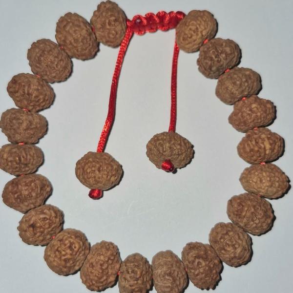 10 Mukhi Indonesian Rudraksha Bracelet (27 Beads) – Natural X-Ray Certified 8–10mm Unisex