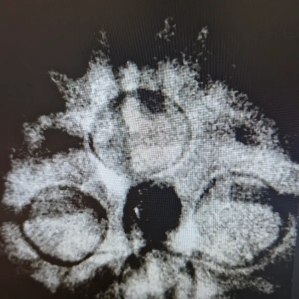 4 Mukhi Nepali Rudraksha (20–21mm) – Original Natural 4 Face Full Seeds X-Ray Certified