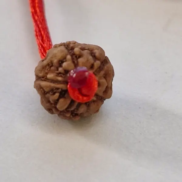 5 Mukhi Indonesian Rudraksha Bracelet (8–10mm) – Natural Shiva Bead with Sample X-Ray Certificate