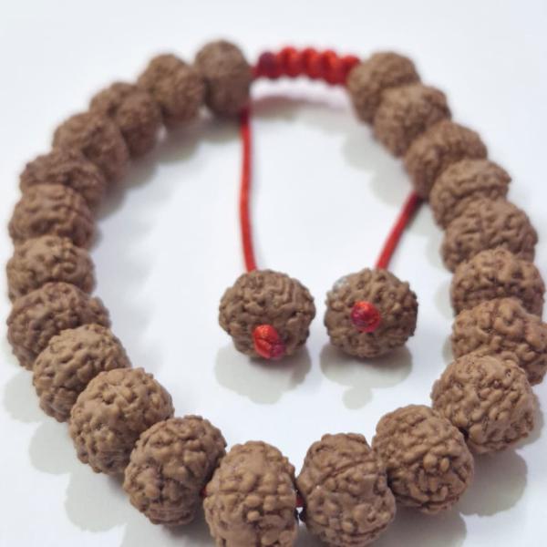 6 Mukhi Indonesian Rudraksha Bracelet (27 Beads, 8–10mm) with Sample X-Ray Certificate – Original & Certified