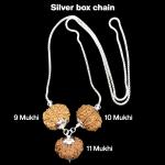 Rudraksha Combination for Total Protection 9,10,11 Mukhi Nepal in Silver Chain