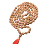 4 Mukhi Indonesian Rudraksha Mala 108 Beads (9mm-11mm)