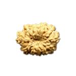 11 Mukhi Indonesian Rudraksha Small