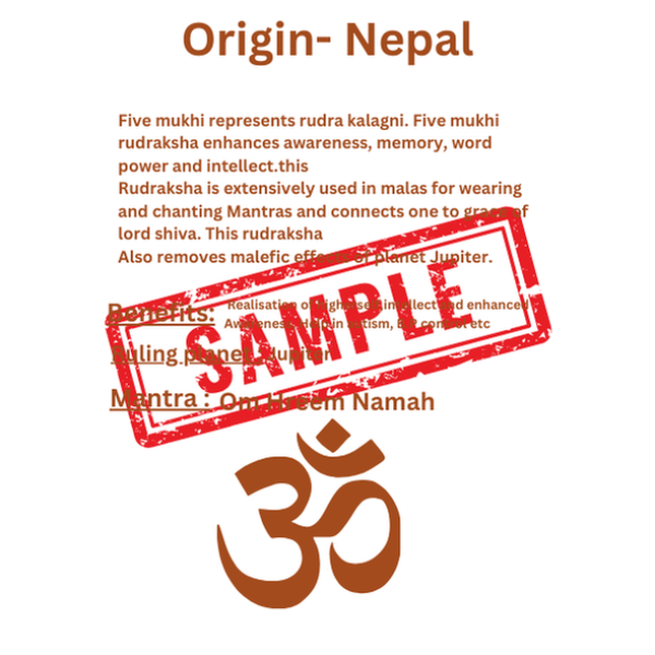 Rudraksha Certification Service - with Xray