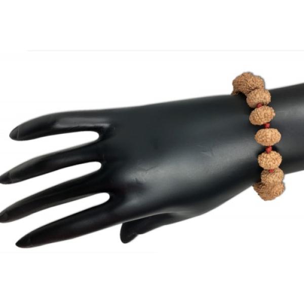8 Mukhi Indonesian Thread Adjustable Bracelet