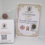 5 Mukhi Nepal Rudraksha Premium Quality 100 Piece