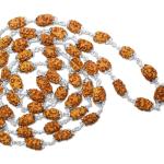 2 Mukhi Indonesian Rudraksha Mala 54 Beads In Silver (7mm-9mm)