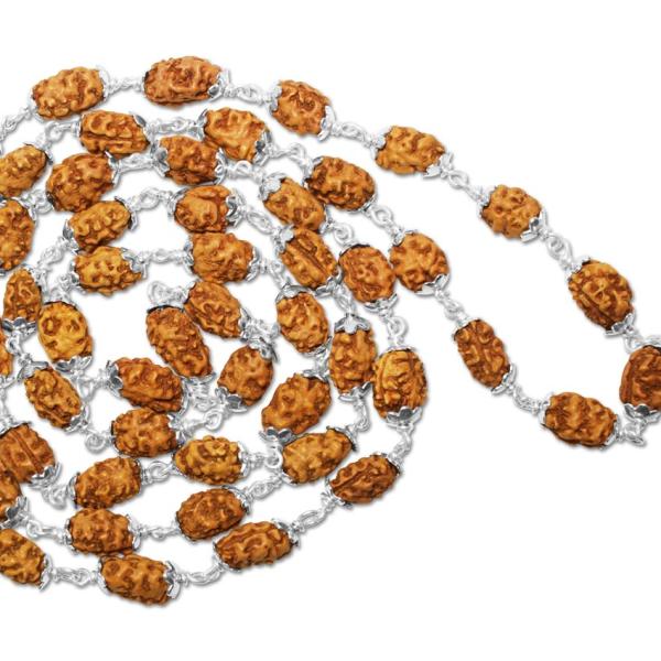 2 Mukhi Indonesian Rudraksha Mala 54 Beads In Silver (7mm-9mm)