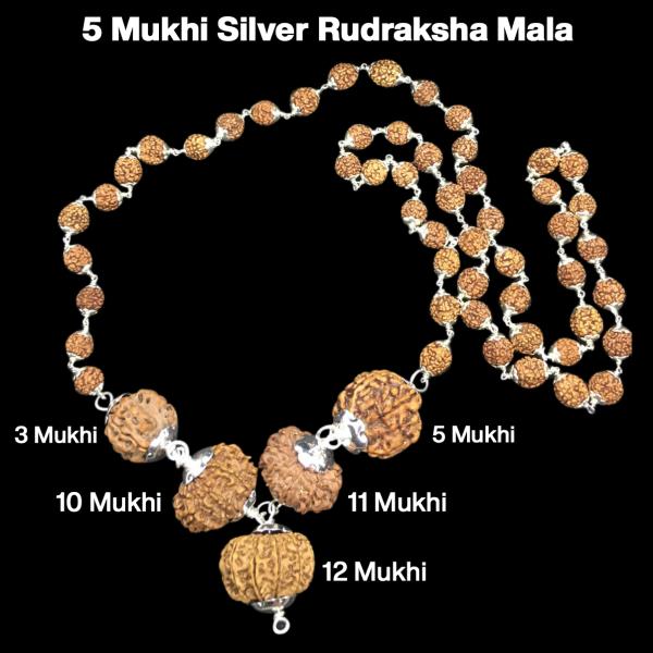 Rudraksha Combination for Navagraha Shanti 3,5,10,11,12 Mukhi Nepal in Silver Mala