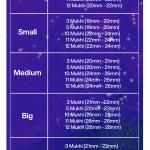 Rudraksha Combination for Navagraha Shanti 3,5,10,11,12 Mukhi Nepal in Rudraksha Mala