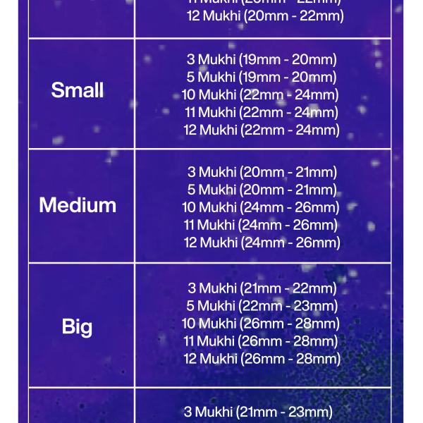Rudraksha Combination for Navagraha Shanti 3,5,10,11,12 Mukhi Nepal in Silver Mala