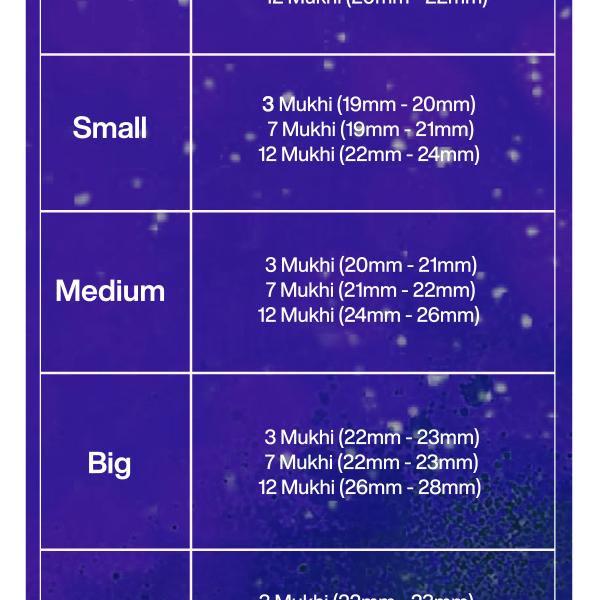 Rudraksha Combination for Career 3,7,12 Mukhi Nepal in Silver Chain