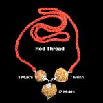 Rudraksha Combination for Career 3,7,12 Mukhi Nepal in Silver Pendant