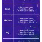 Rudraksha Combination for Career 3,7,12 Mukhi Nepal in Silver Pendant