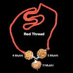 Rudraksha Combination for Hanuman Power 4,5,11 Mukhi Nepal in Silver Pendant