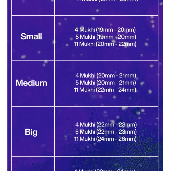 Rudraksha Combination for Wisdom 4,5,11 Mukhi Nepal in Silver Pendant