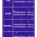 Rudraksha Combination for Students 4,4,6 Mukhi Nepal in Silver Chain