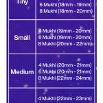 Rudraksha Combination for Creativity 4,6,8 Mukhi Nepal in Rudraksha Mala