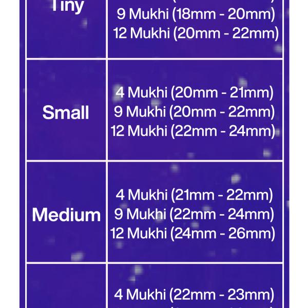 Rudraksha Combination for Doctors 4,9,12 Mukhi Nepal in Rudraksha Mala