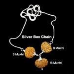 Rudraksha Combination for Business 6,8,15 Mukhi Nepal in Silver Chain