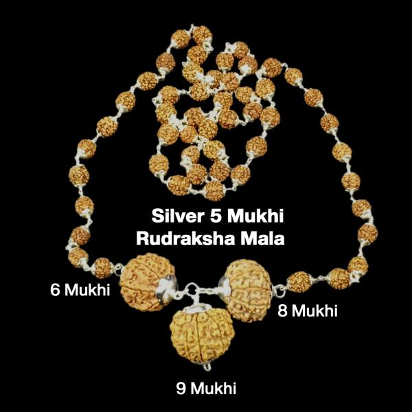 Rudraksha Combination for Females in Business 6,8,9 Mukhi Nepal in Silver Mala