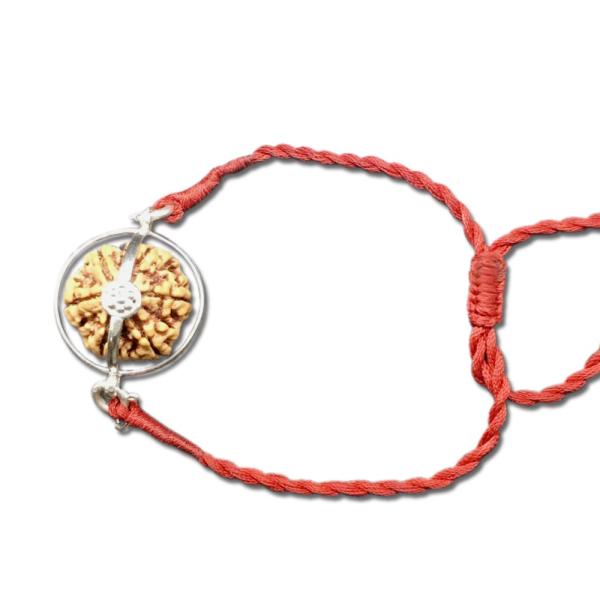 16 Mukhi Nepal Rudraksha In Pure Silver Case Bracelet