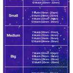 Rudraksha Combination for Business Power (Executives & Businessmen) 7,7,8,11,12 Mukhi Nepal in Silver Chain