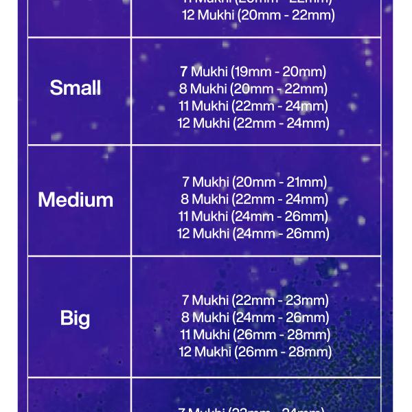 Rudraksha Combination for Business Power (Executives & Businessmen) 7,7,8,11,12 Mukhi Nepal in Silver Pendant