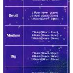 Rudraksha Combination for Business Power (Marketing & Trading) 7,7,8,13 Mukhi Nepal in Silver Bracelet