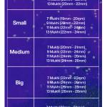 Rudraksha Combination for Wealth 7,9,11,13 Mukhi Nepal in Rudraksha Mala