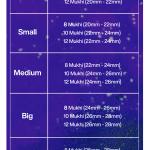 Rudraksha Combination for Protection 8,10,12 Mukhi Nepal in Silver Pendant