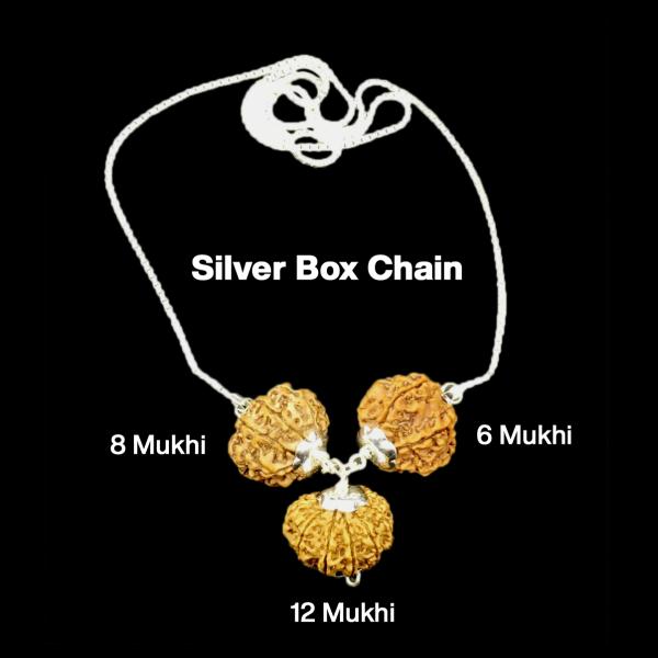 Rudraksha Combination for Business 6,8,12 Mukhi Nepal in Silver Chain