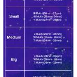 Rudraksha Combination for Total Protection 9,10,11 Mukhi Nepal in Silver Pendant