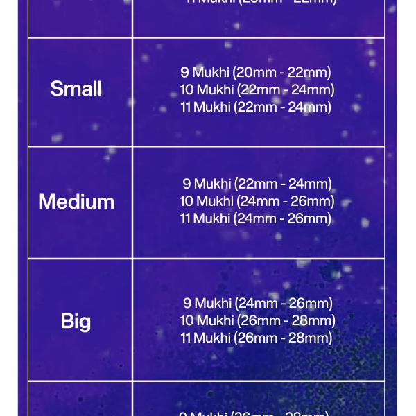 Rudraksha Combination for Total Protection 9,10,11 Mukhi Nepal in Silver Pendant