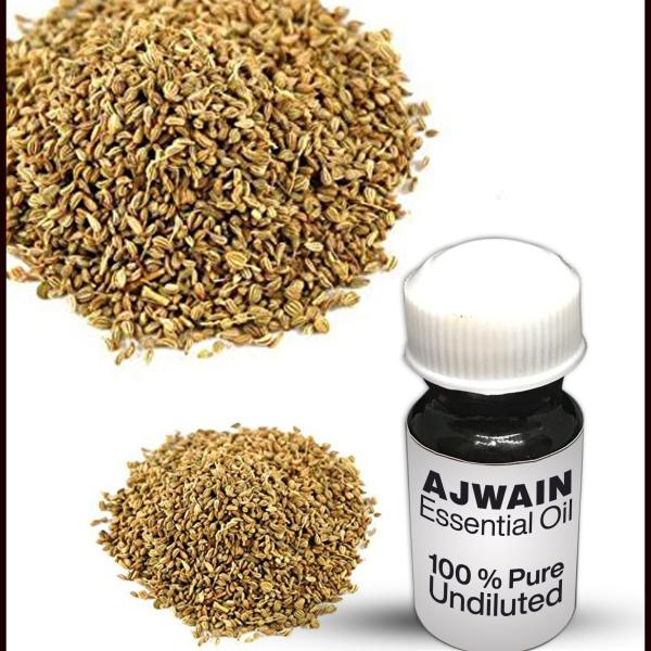 Ajwain Essential Oil