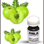 Amla Essential Oil