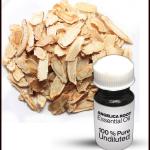 Angelica Root Essential Oil