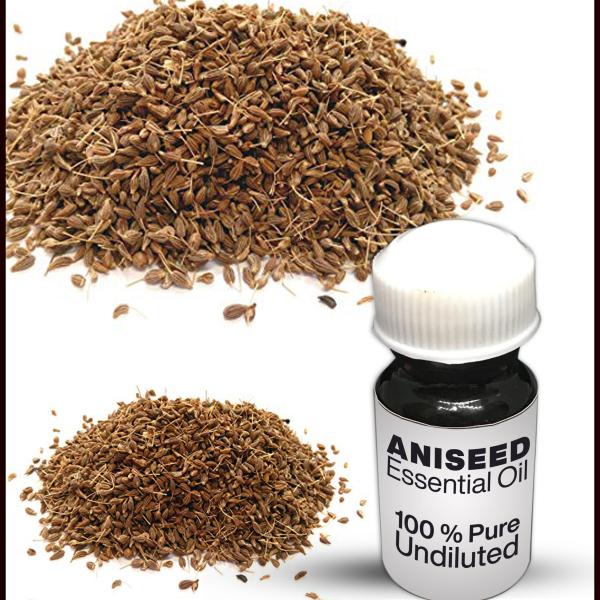 Aniseed Essential Oil