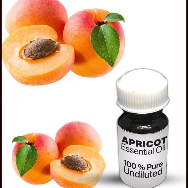 Apricot Essential Oil
