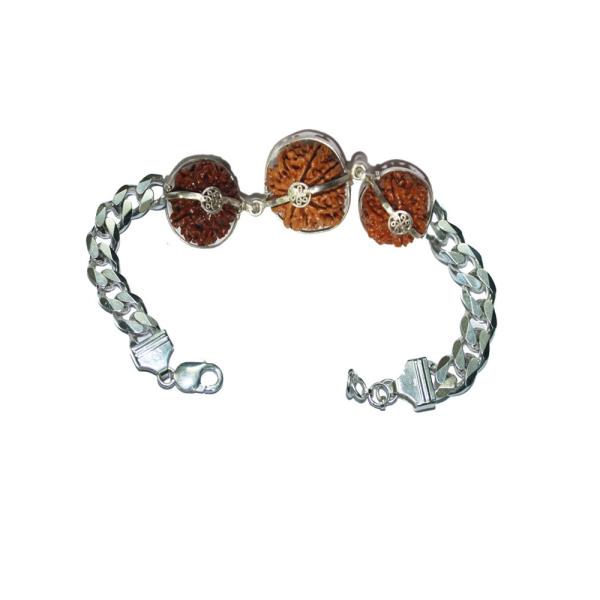 Rudraksha Combination for Advocates 4,6,8 Mukhi Nepal in Silver Bracelet