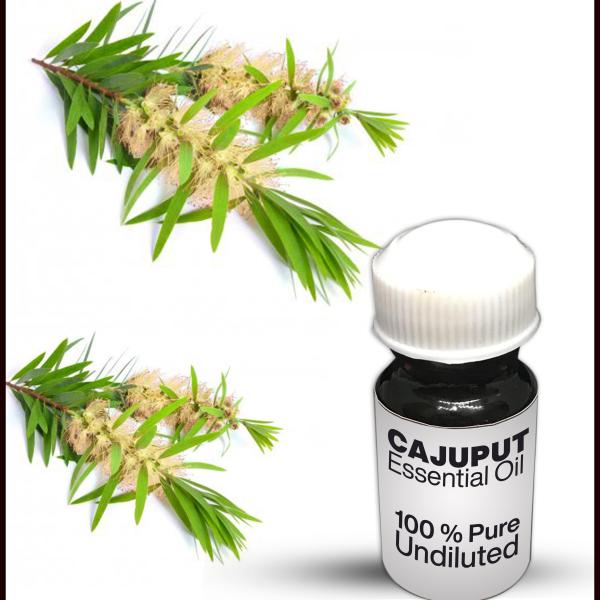 Cajuput Essential Oil