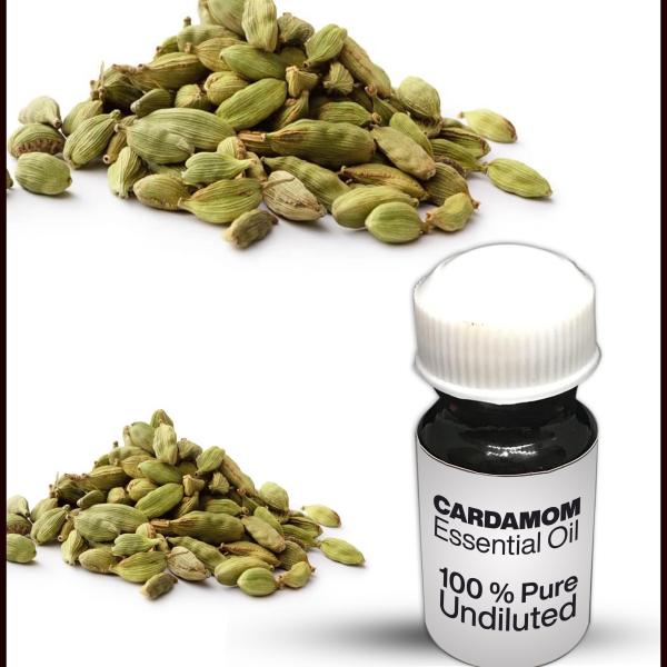 Cardamom Essential Oil
