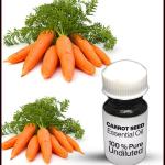 Carrot Seed Essential Oil