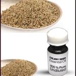 Celery Seed Essential Oil