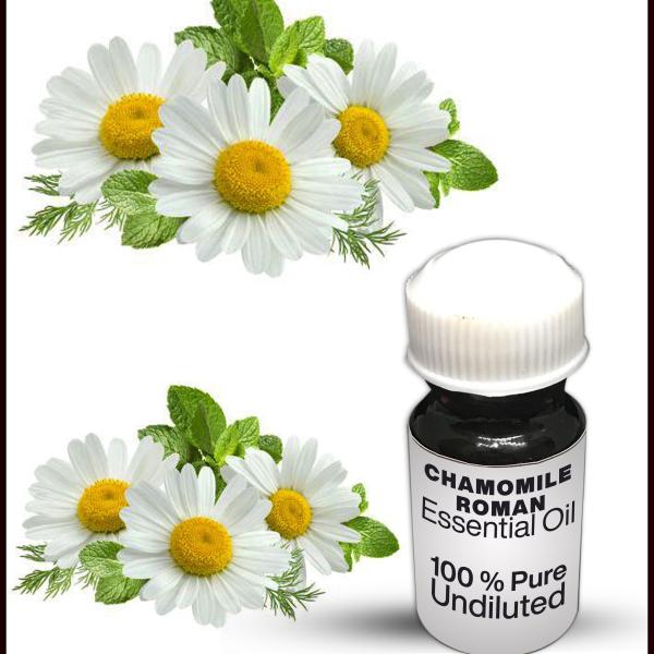 Chamomile Essential Oil