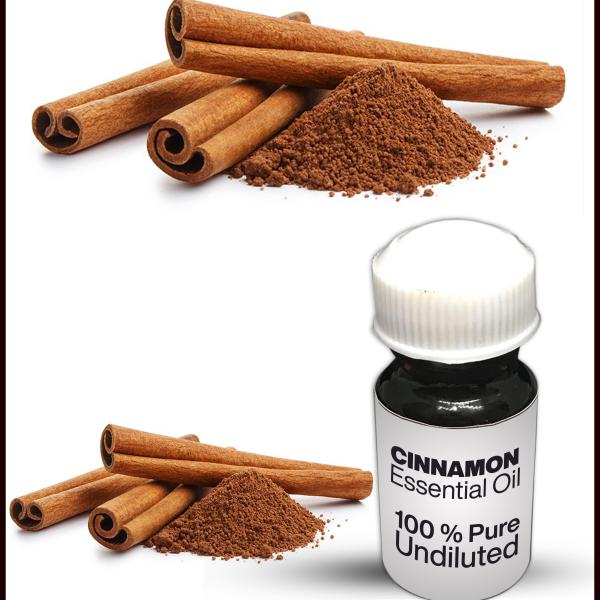 Cinnamon Essential Oil