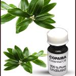 Copaiba Essential Oil