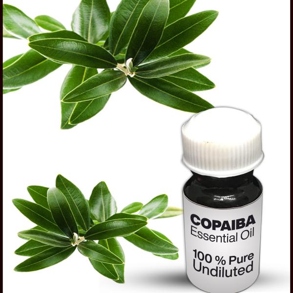 Copaiba Essential Oil