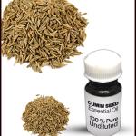 Cumin Seed Essential Oil